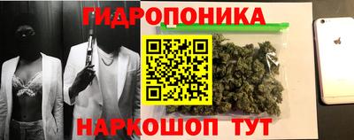 прущие грибы Партизанск