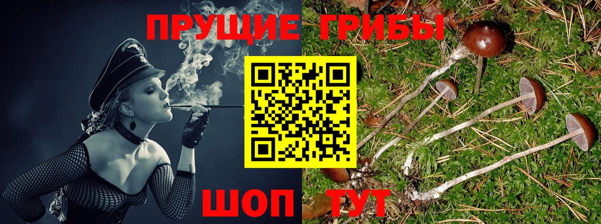 Галлюциногенные грибы Magic Shrooms  Вход с VPN  Чебаркуль 